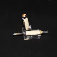 Fossil fountain pen